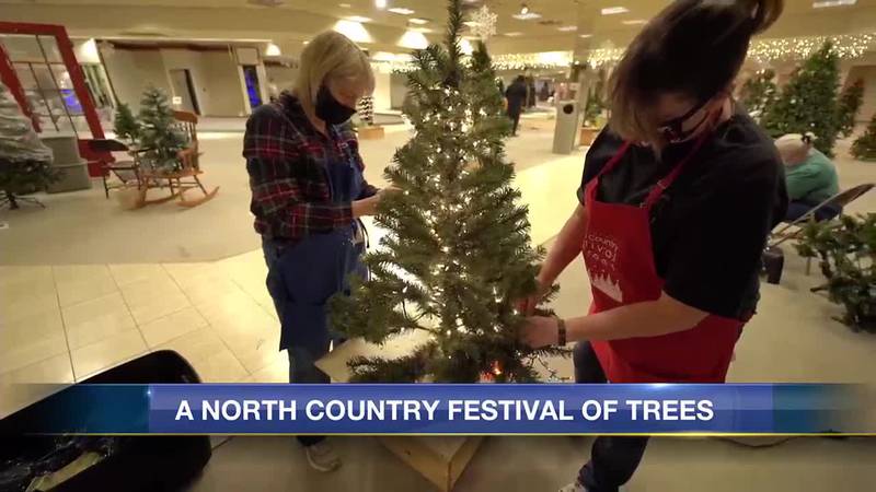 Morning Checkup: A North Country Festival of Trees