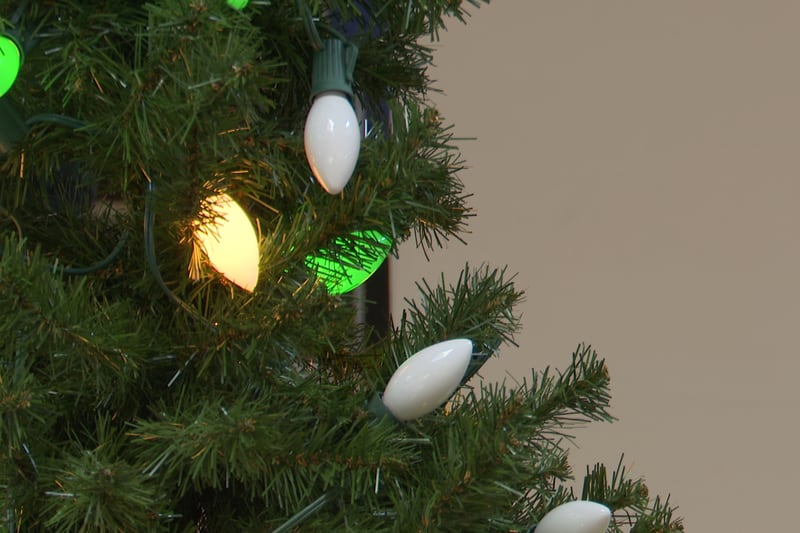Hospice of Jefferson County is continuing its Memory Tree tradition.